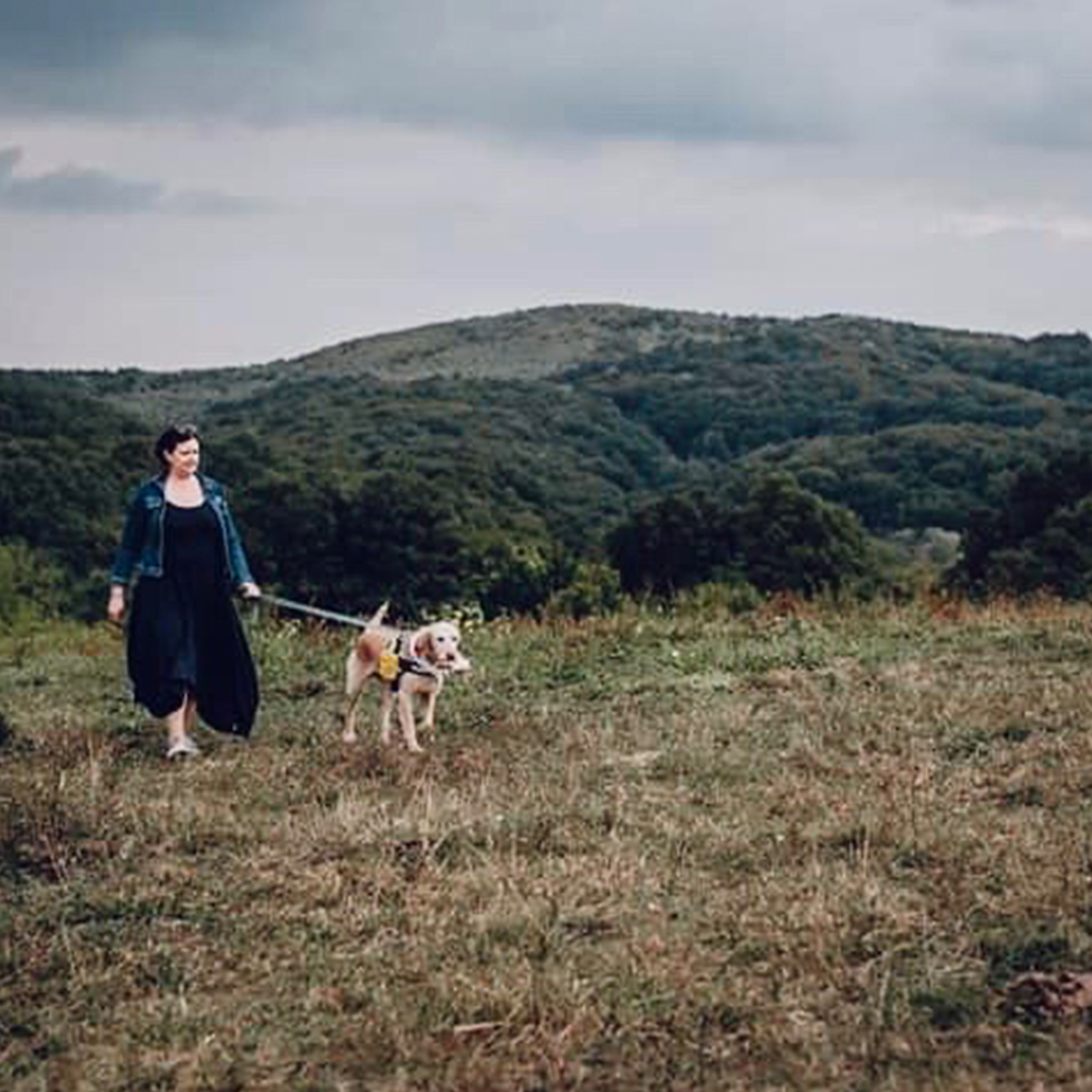 tulipan-rolunk-renner-krisztina